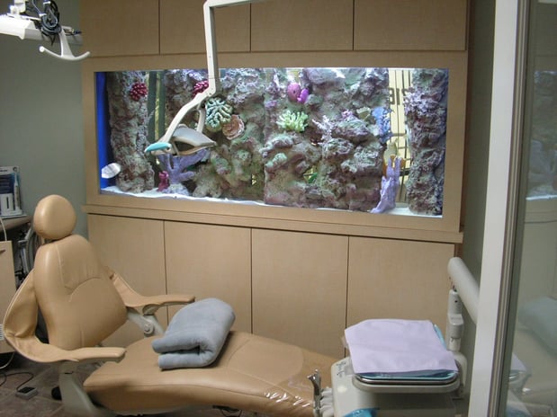 Images Sea Clear Reefs and Aquariums LLC