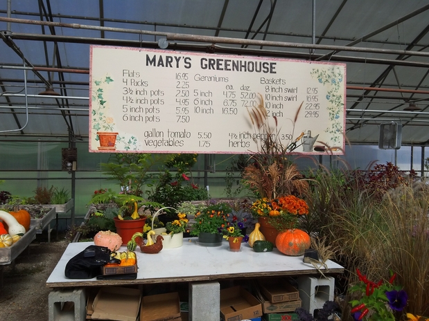 Images Mary's Greenhouse