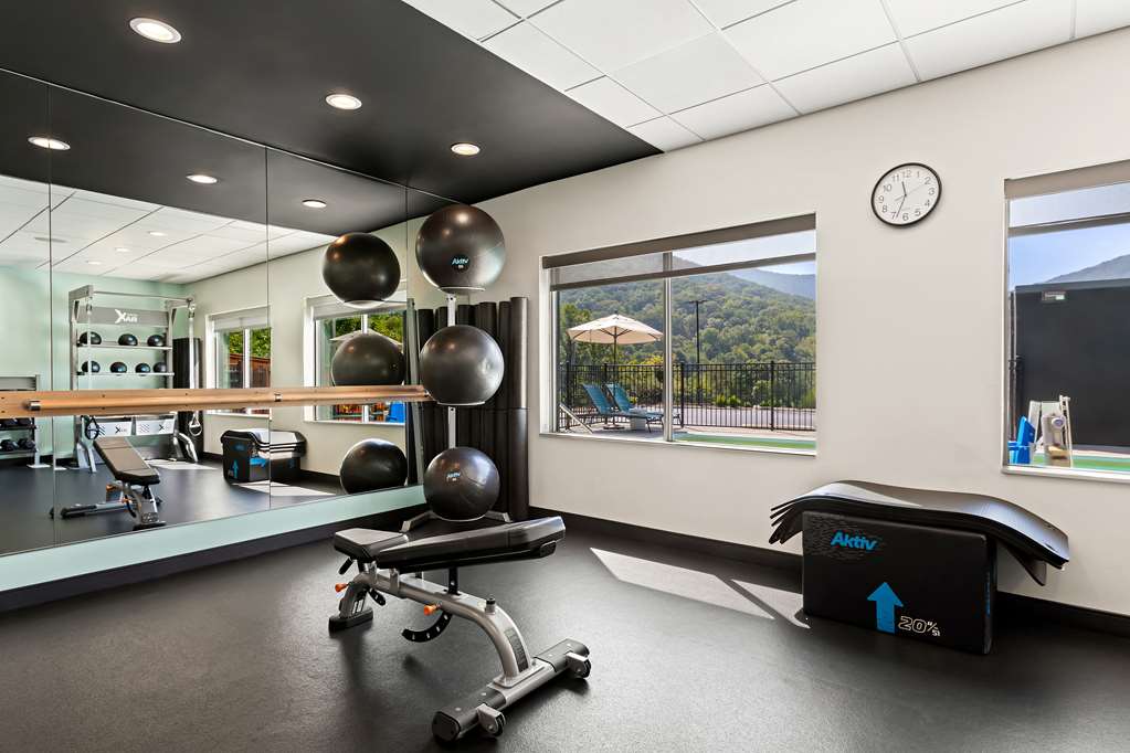 Health club  fitness center  gym