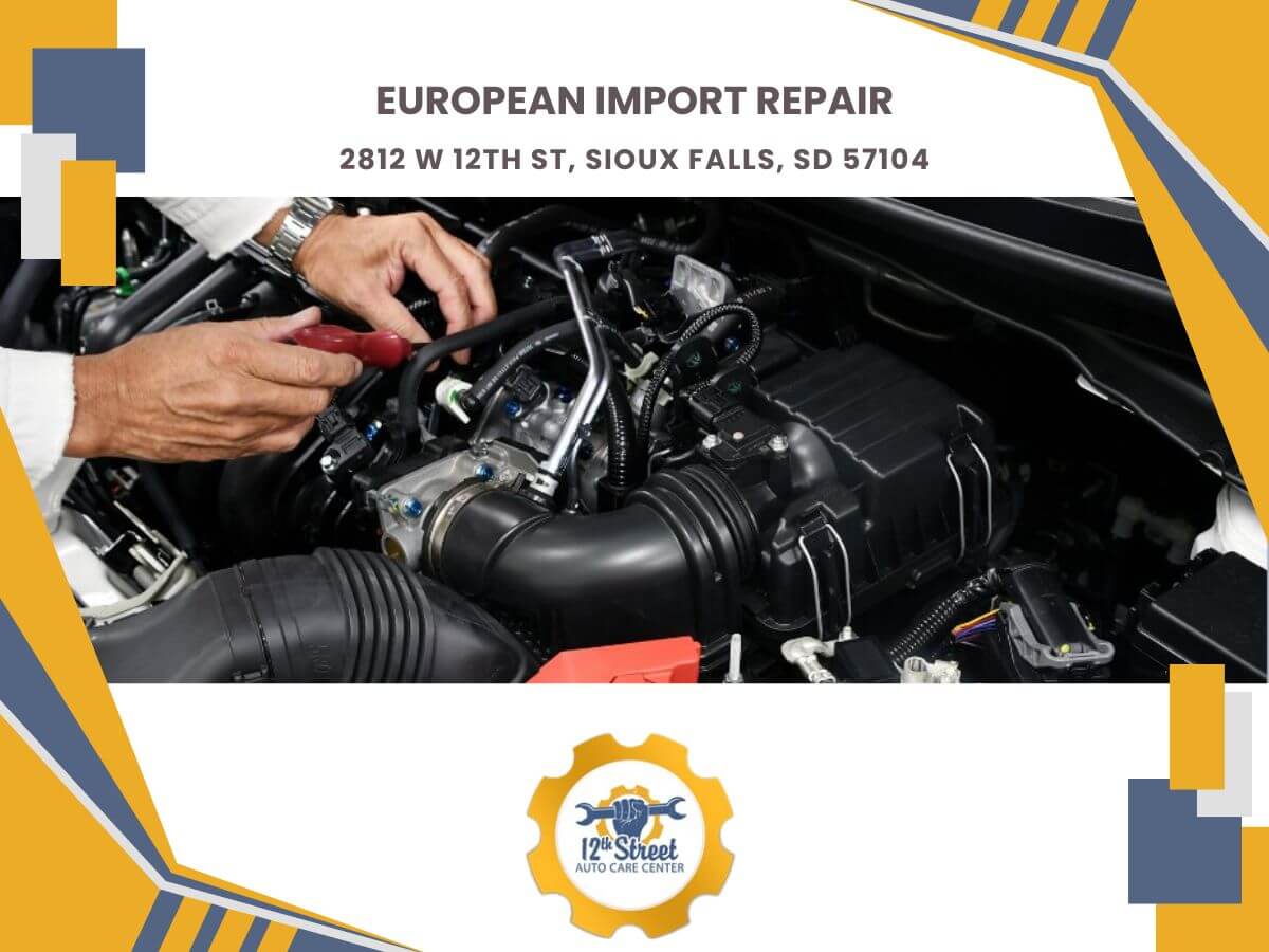 European import repair