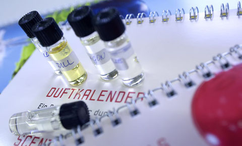 Straub Druck + Medien AG, Max-Planck-Strasse 17-19 in Schramberg