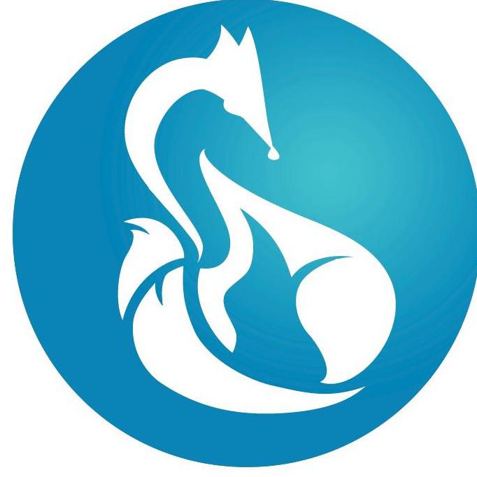 Blue Fox Group Logo
