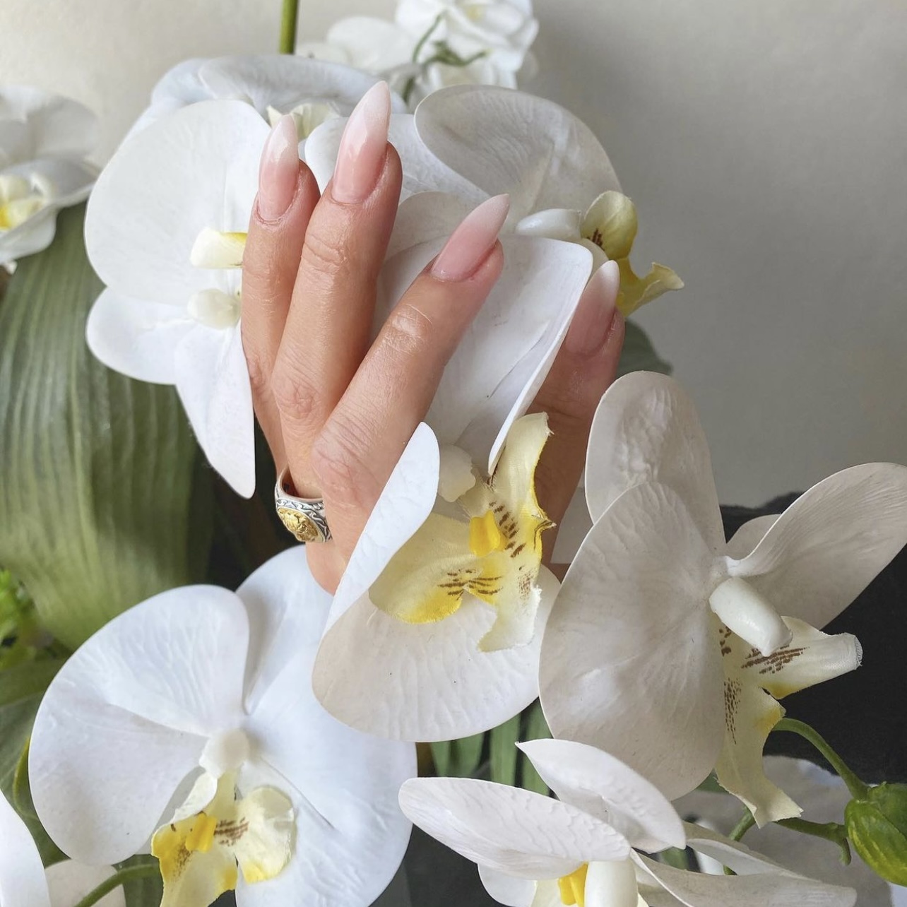 Bilder Fida-nails Beauty studio