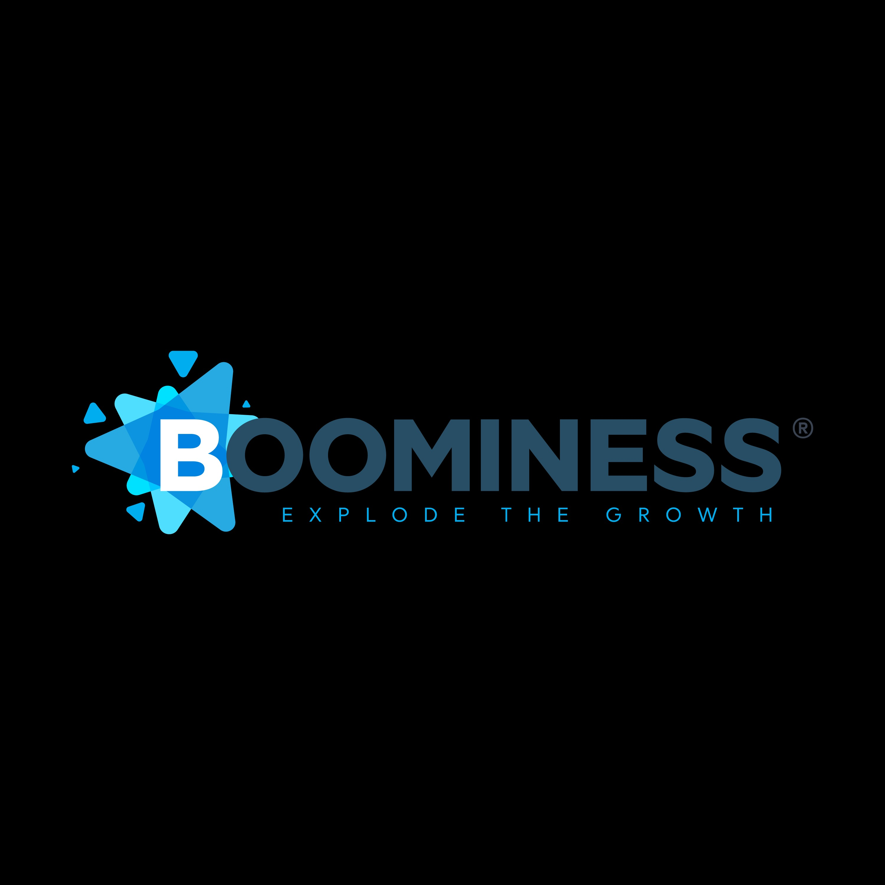 Boominess Digital Marketing LLC - Clearwater, FL 33755 - (727)297-5463 | ShowMeLocal.com