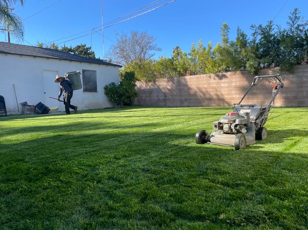 Images Maximus Junk Removal and Garden Services