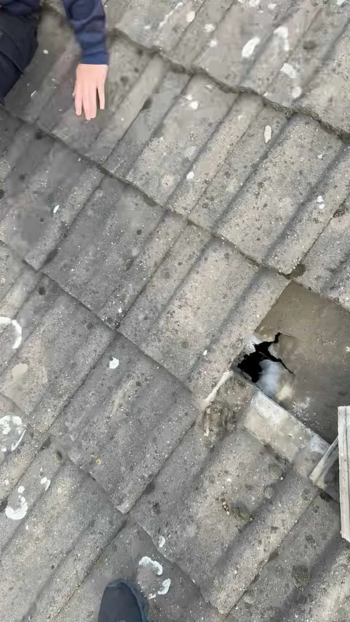 Images Starline Roofing