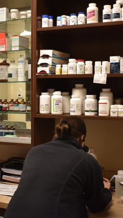 Images Bingle Veterinary Clinic