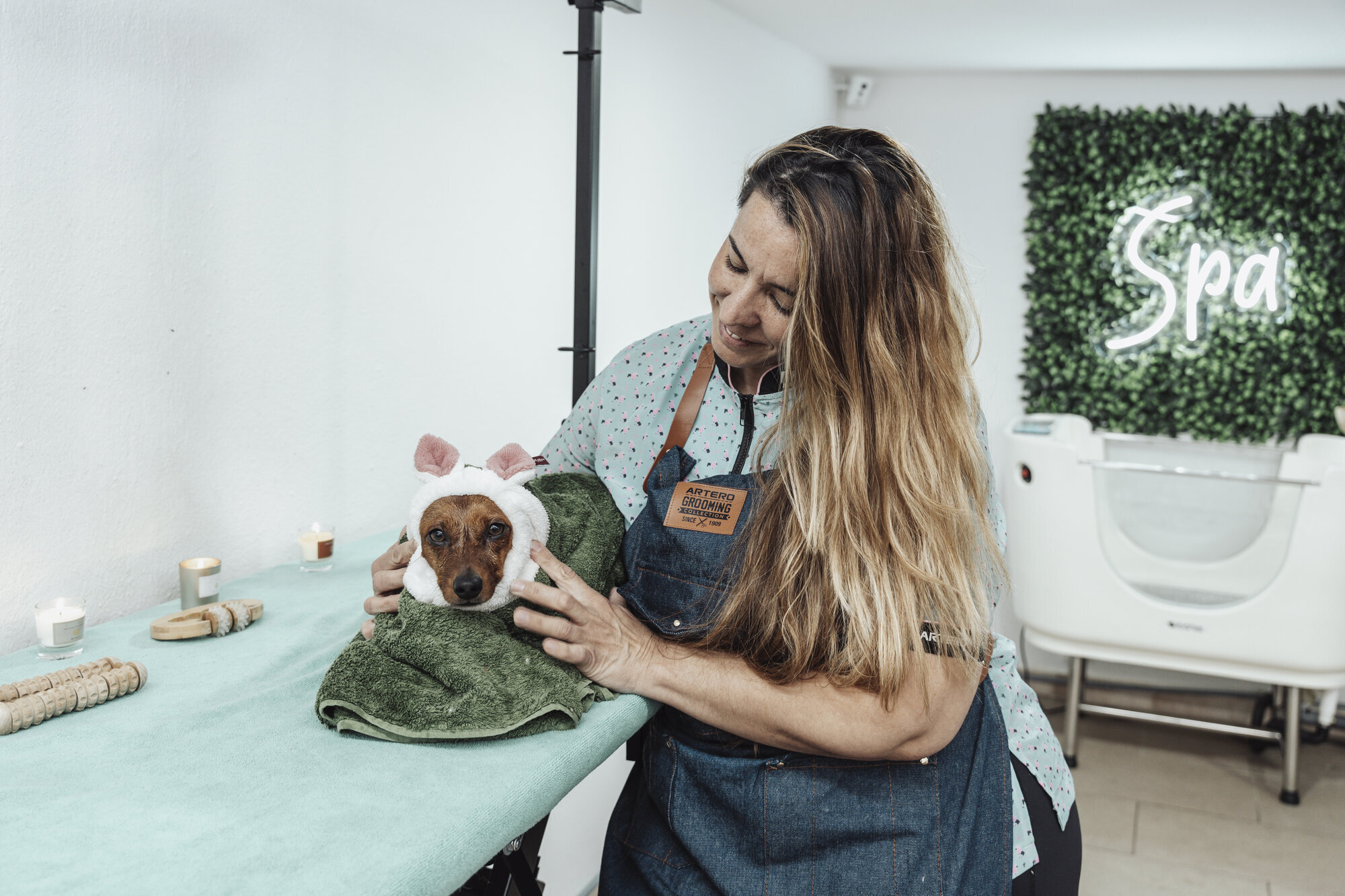 Images The Black Poodle Groom & Care S.L.