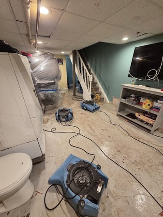 Images EZ Mitigation