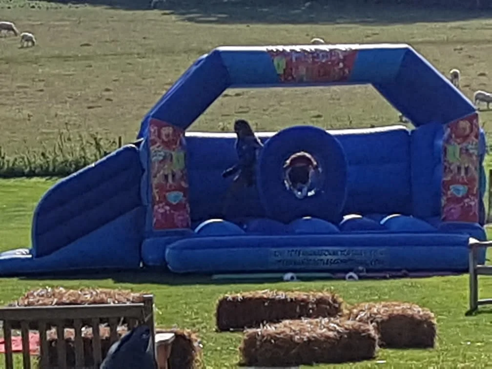 Images Top Banana Bouncy Castles