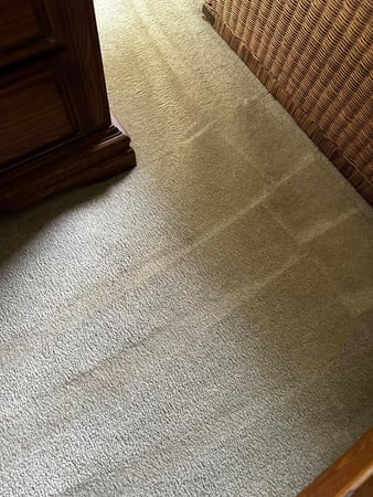 Images Van-Go Custom Carpet Cleaning