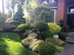 Award winning landscaping services by All Seasons.
