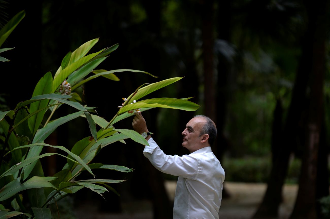Images Luis Juárez Castillo - Psicólogo Sevilla