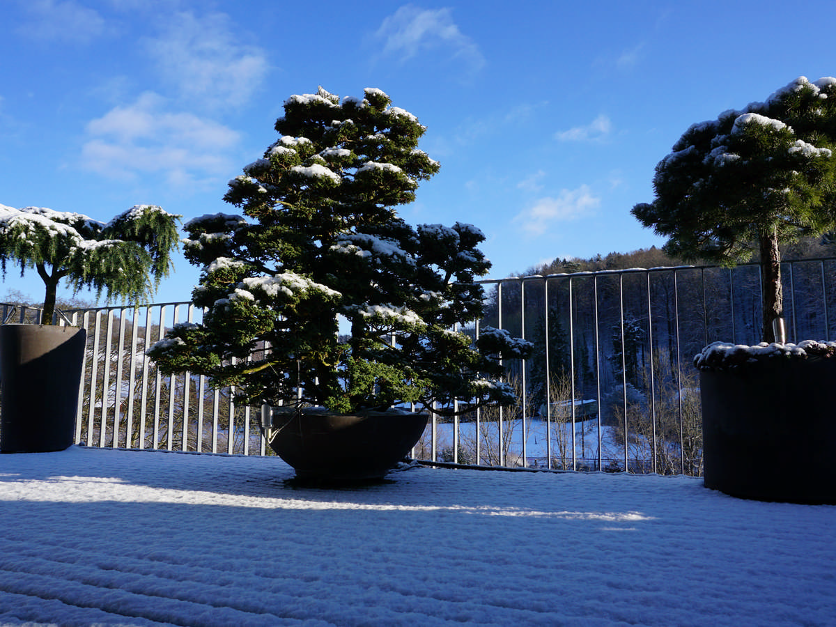 Silvedes AG, Bellevue in Brütten