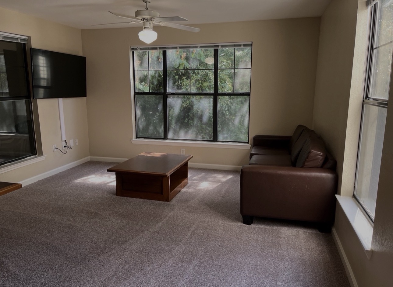 A living room is furnished with a brown leather sofa, a dark wood coffee table, and a wall-mounted flat-screen television. A large window with a grid of panes looks out onto trees. A ceiling fan is visible overhead. The room has neutral-colored carpet and walls, with sunlight streaming in from the windows.