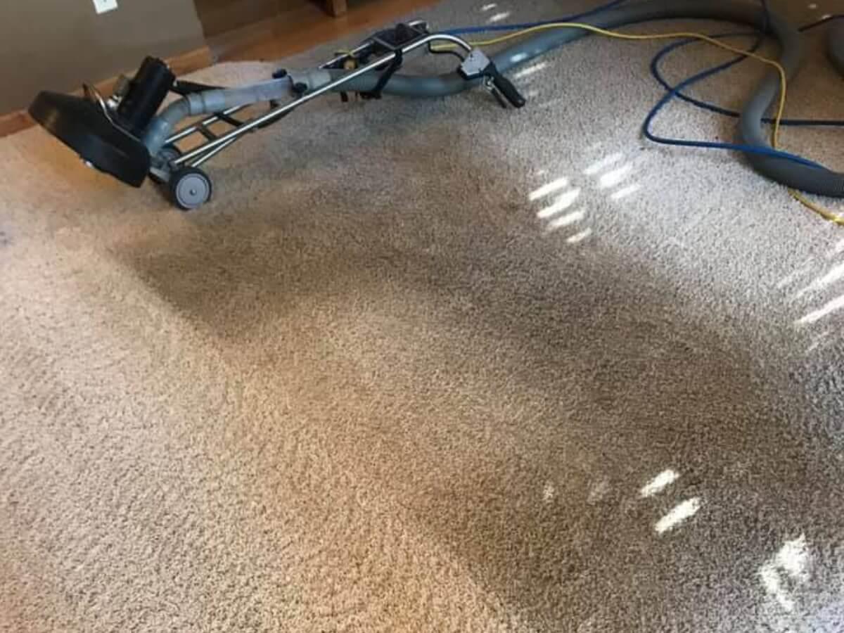 carpet restoration cleaning
