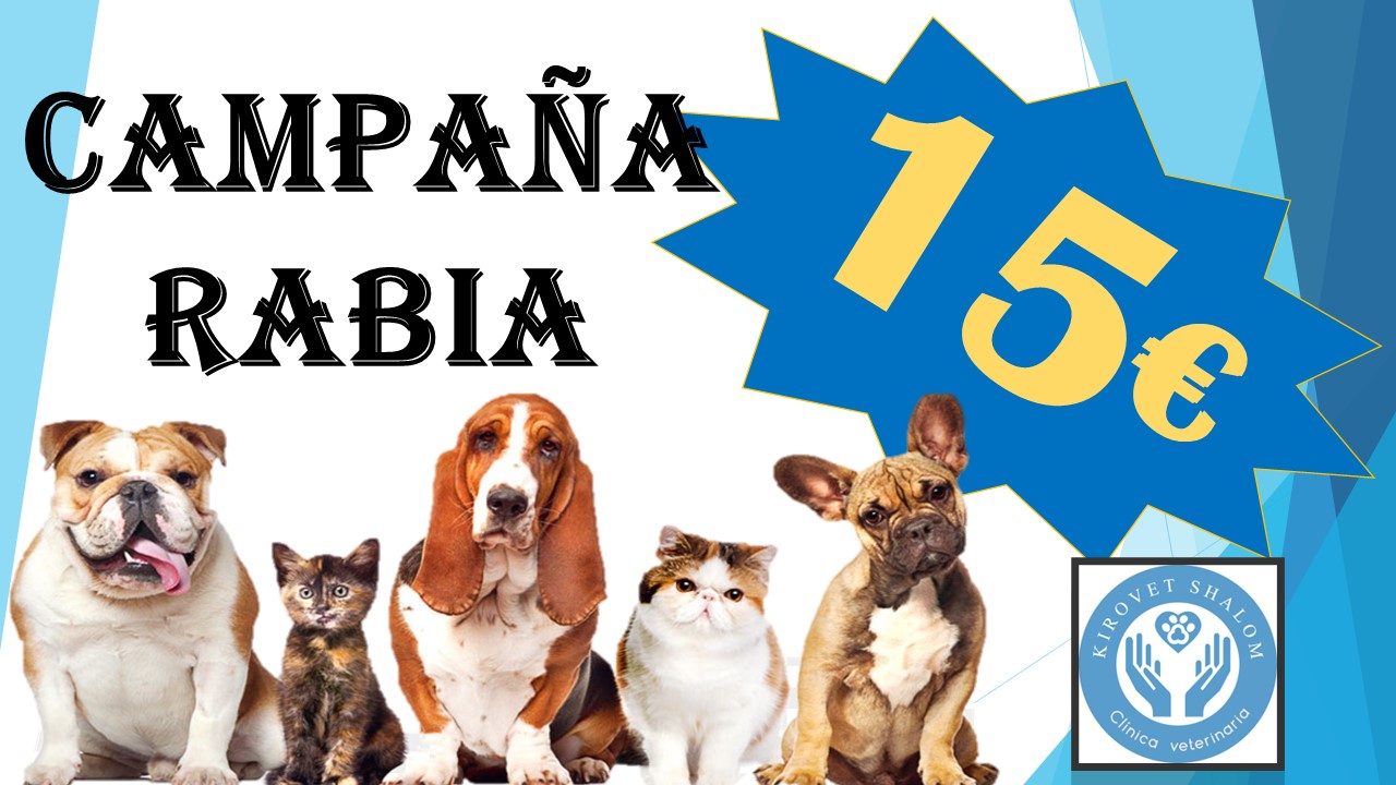Images Clínica Veterinaria Kirovet Shalom S.L.
