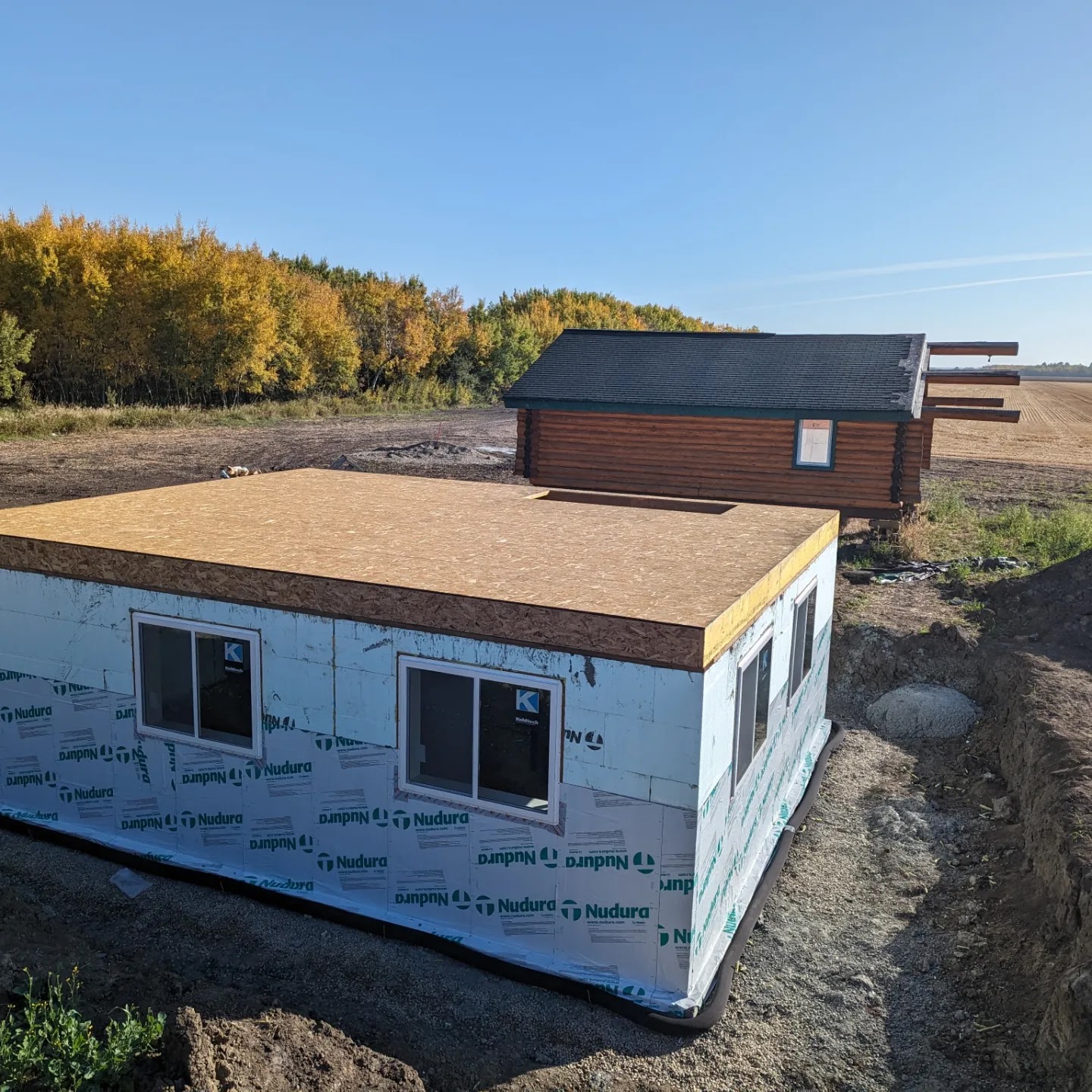 Images The Blue Spruce Builder