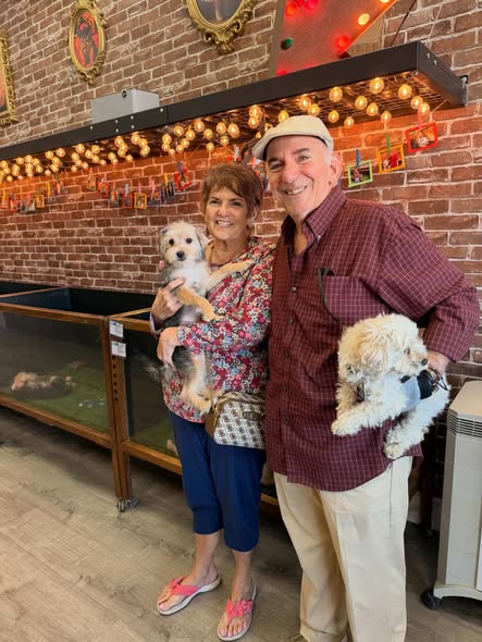 Puppies Direct Image