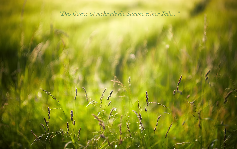 Dr.med.vet. Ernst Meier Tierarzt, Seehof 2 in Dießen