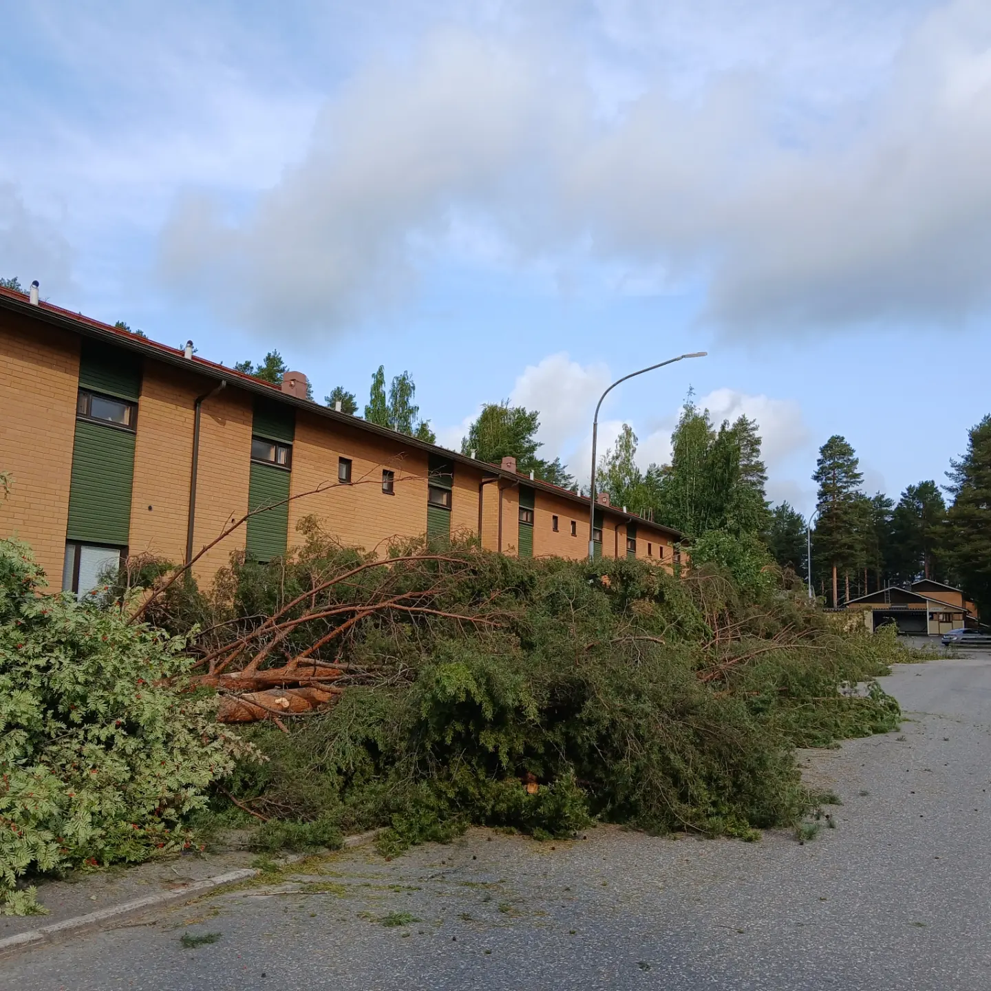 Images SisuForest Oy