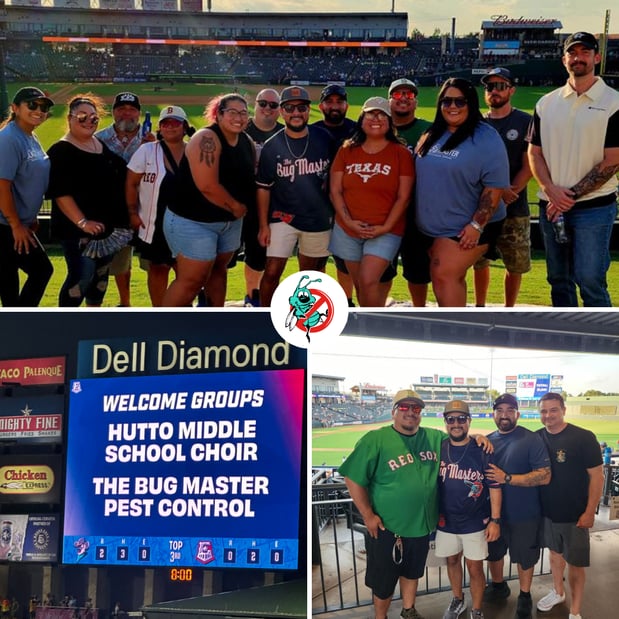 Images The Bug Master