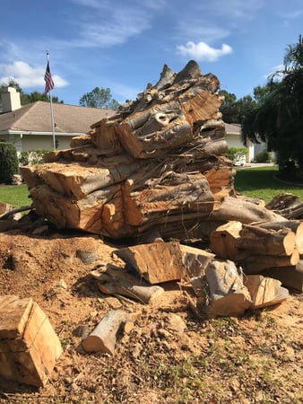 Images Troyer Tree Service