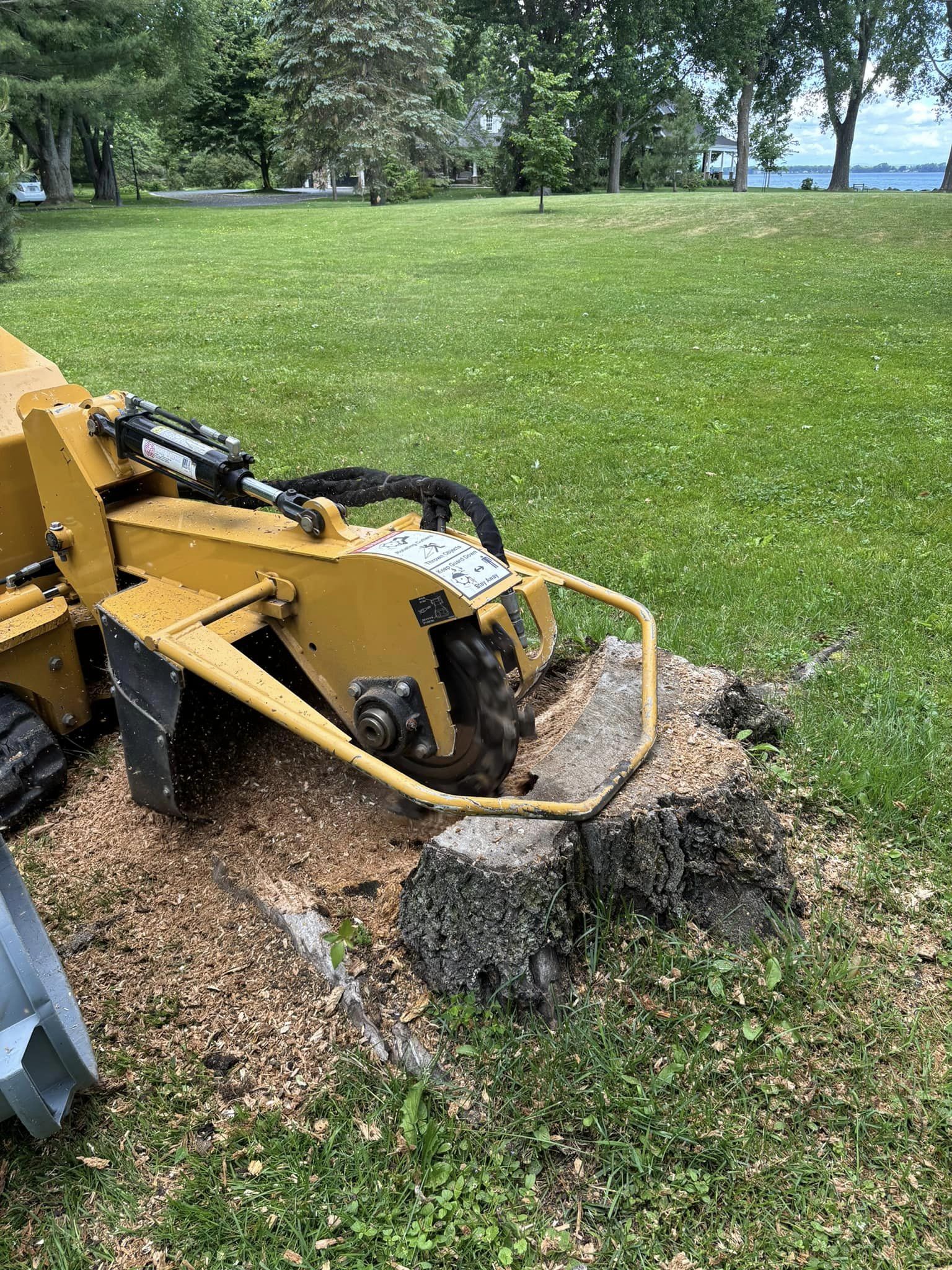 Images Arboriculture PH