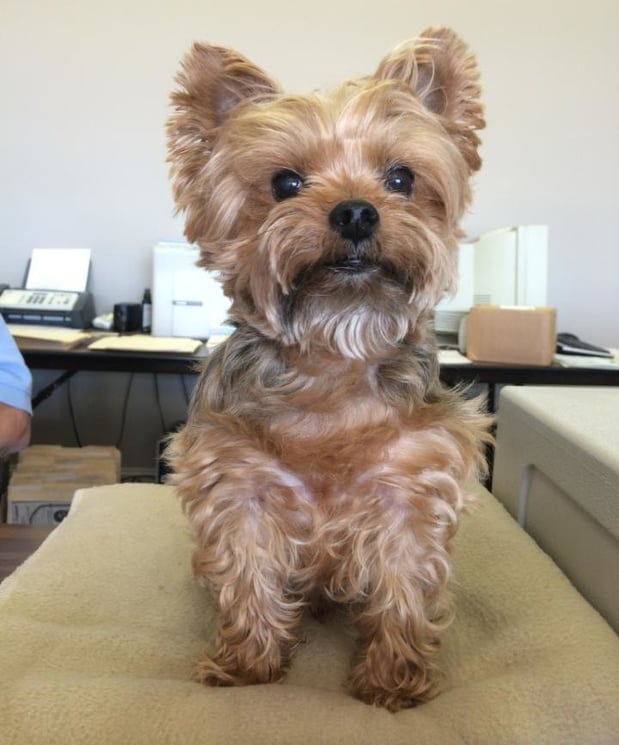 Images American Cash Advance