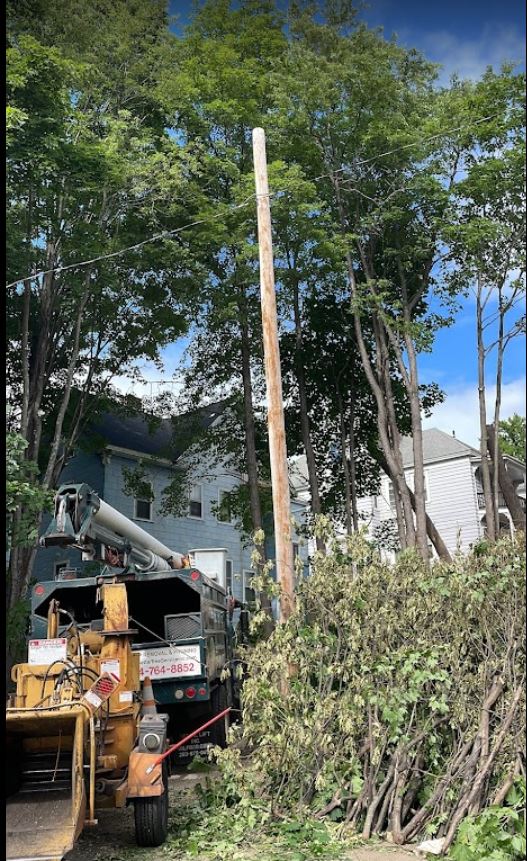 SMG Master Tree Corp Logo