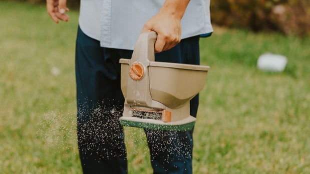 Images Solve Pest Pros