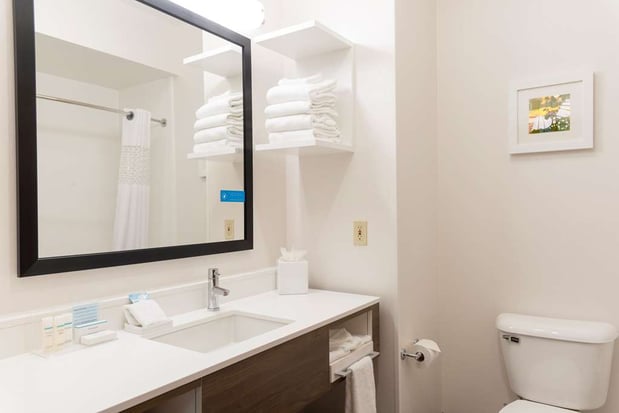 Images Hampton Inn & Suites East Lansing/Okemos