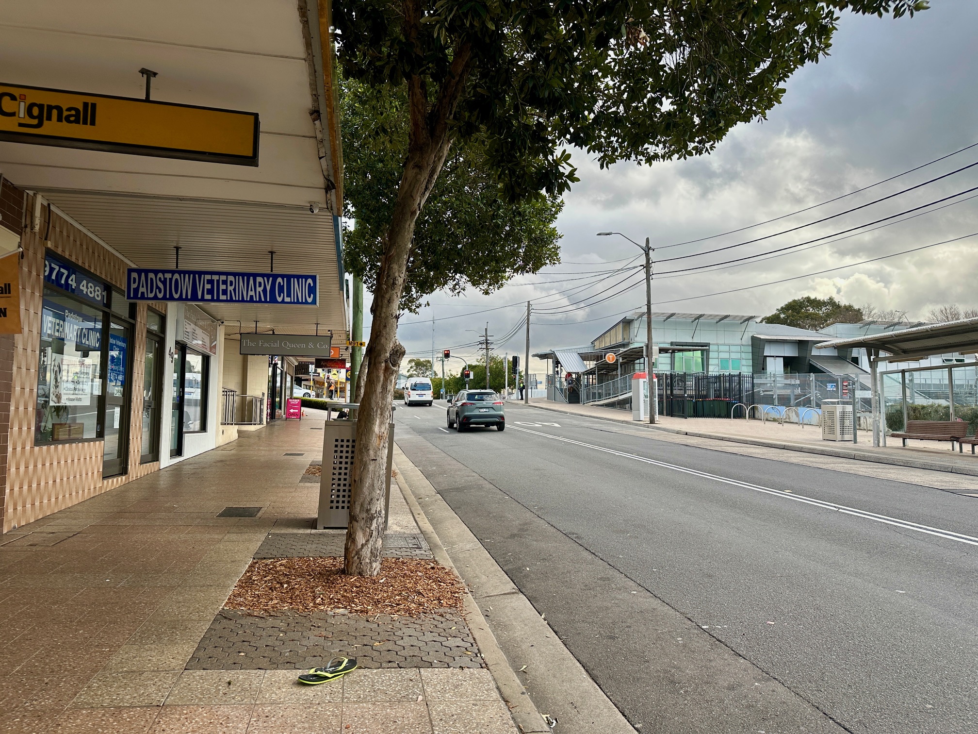 Images Padstow Veterinary Clinic  Dr Yee Keong Leong