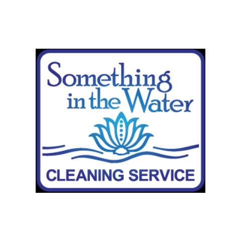 Something in the Water Cleaning Service