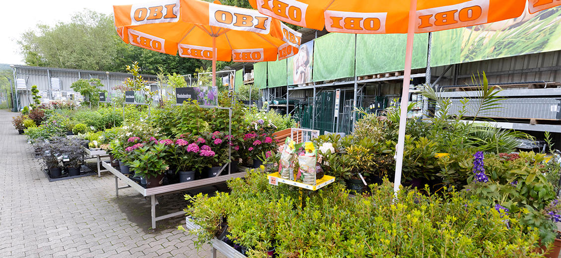 Fotos - OBI Markt Neunkirchen - 21