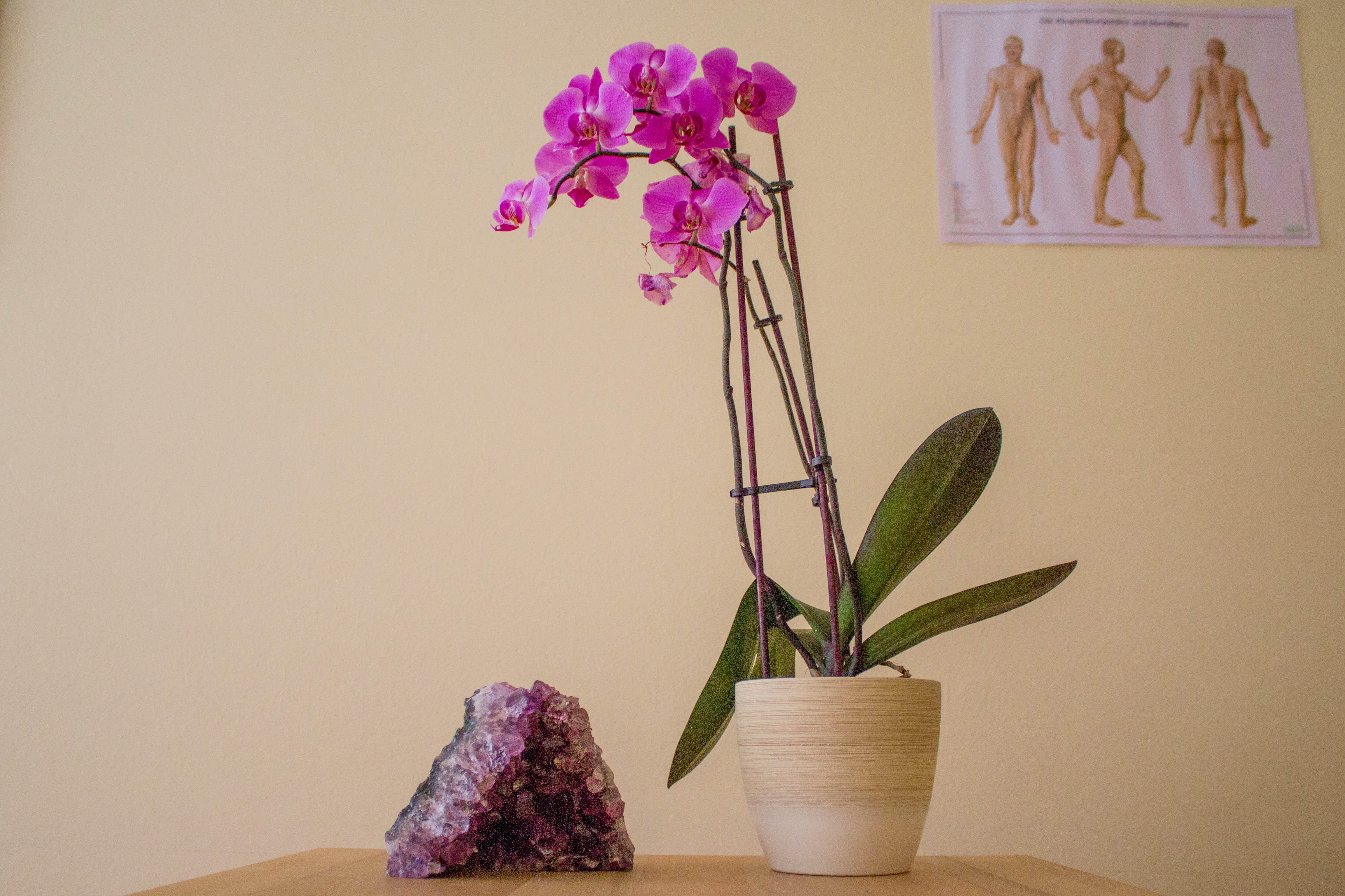 Heilpraktikerin Ries Vesna Naturheilpraxis, Sonnleiten 2 in Happurg