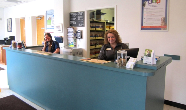 Images VCA Iselin Animal Hospital