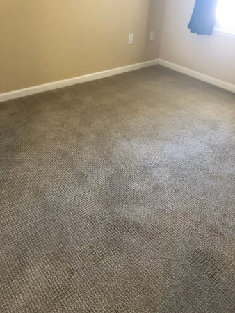 Images Carpet Pro Carpet Cleaning & Dyeing