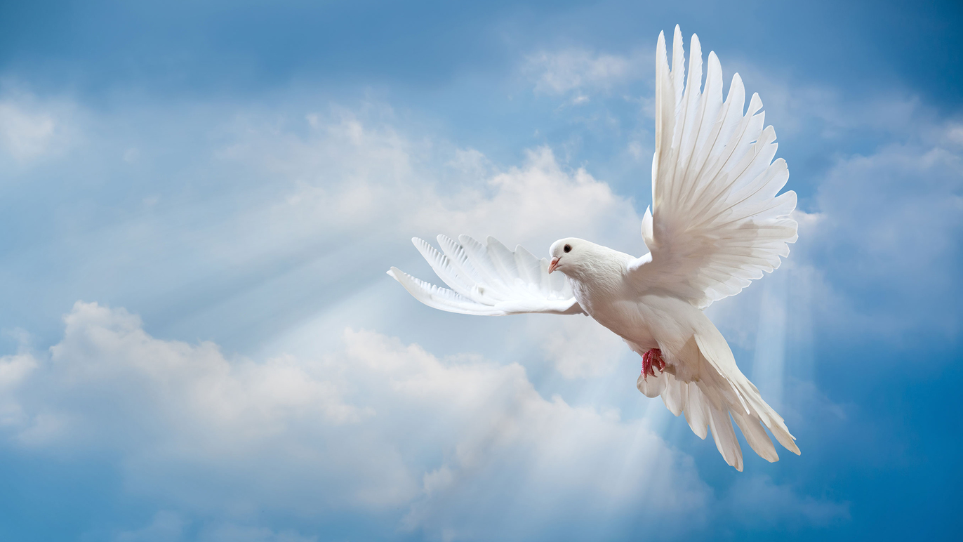 Images Hamar Begravelsesbyrå AS