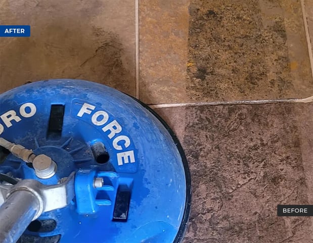 Images Pacific Coast Carpet Cleaning