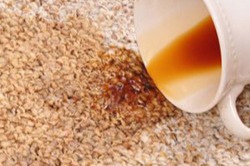 Images Springfresh Carpet Cleaning