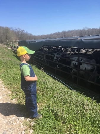 Images Emily's Livestock family raised beef, pork, lamb and tallow skin care