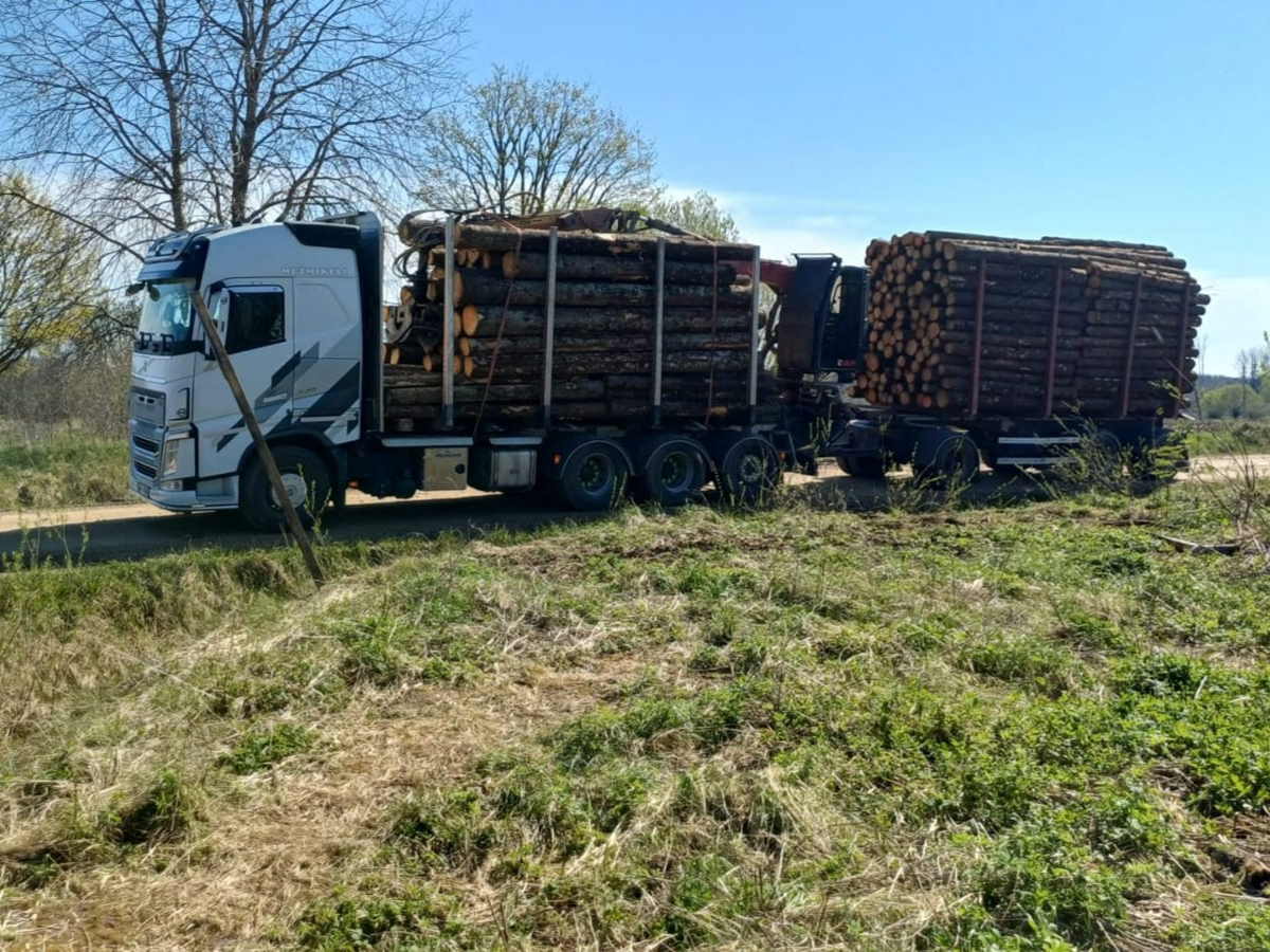 Mežmikeļi nodrošina pilnu mežizstrādes procesu no apsekošanas līdz izvešanai.