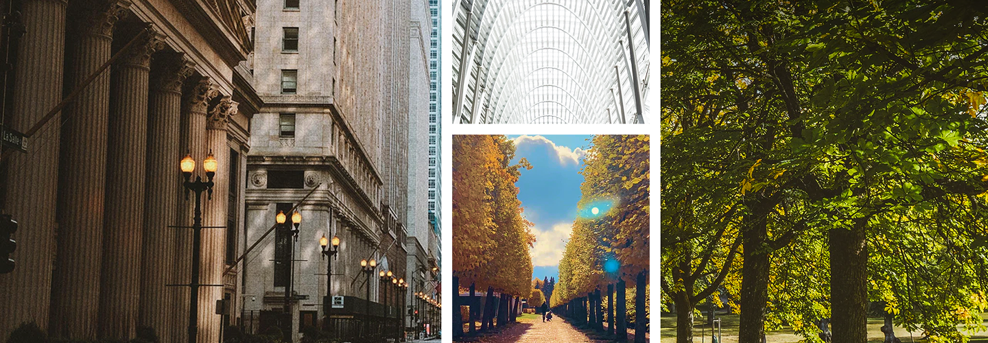 A collage of architecture and trees.