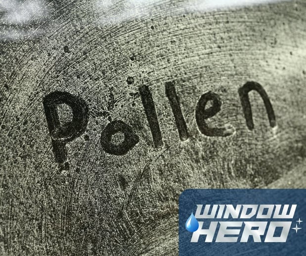 Images Window Hero Charlotte