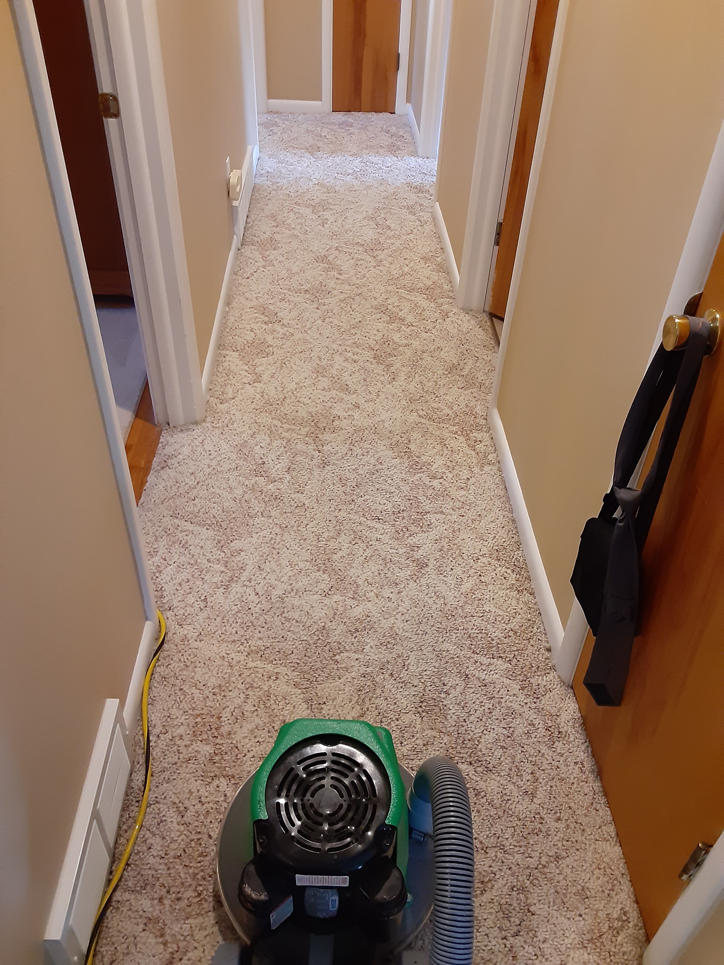 Proper Carpet Care Tips from B&T Chem-Dry