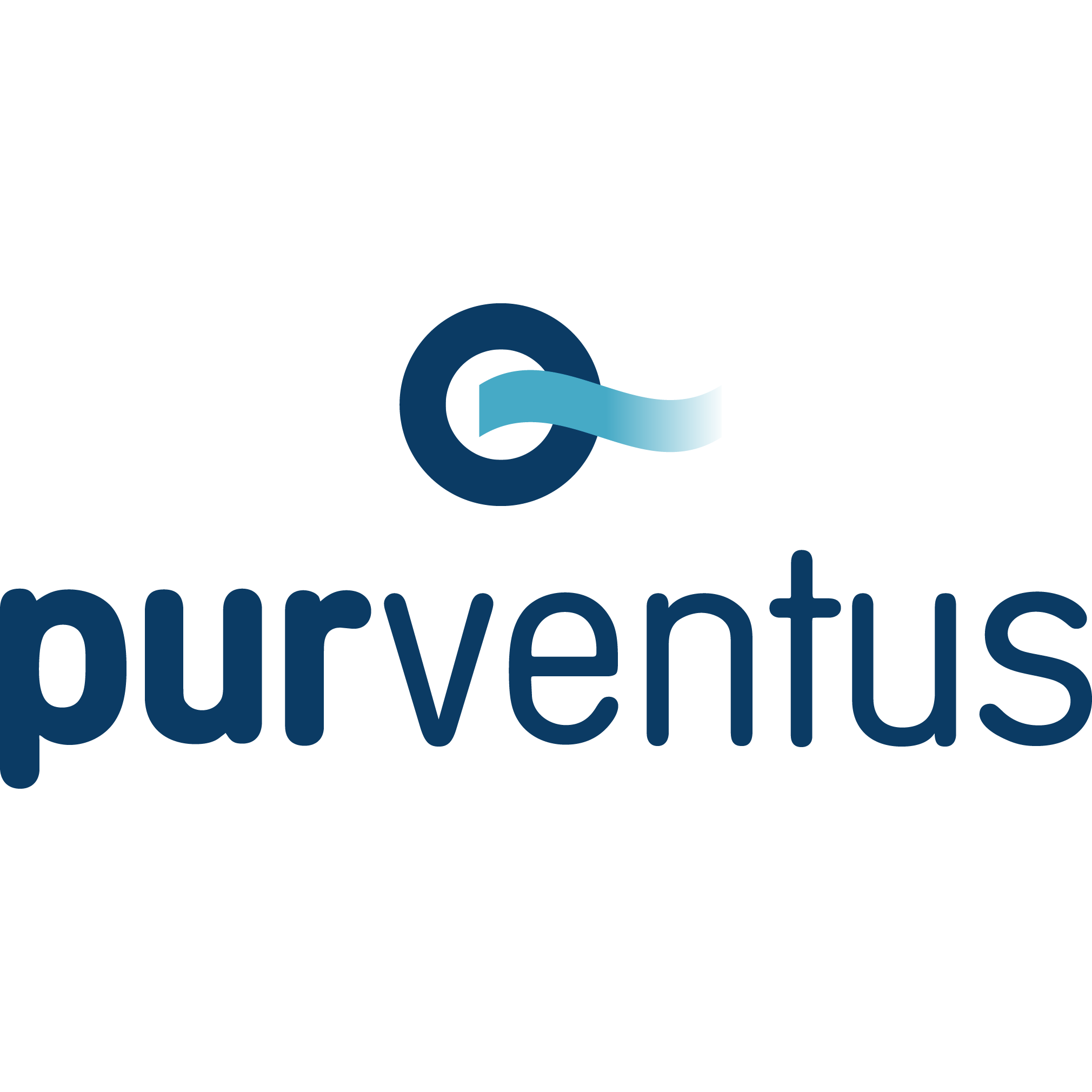 Logo purventus GmbH