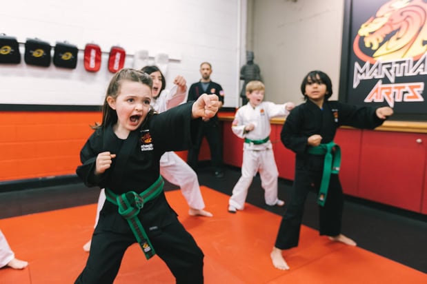 Images SDSS Martial Arts of Newton