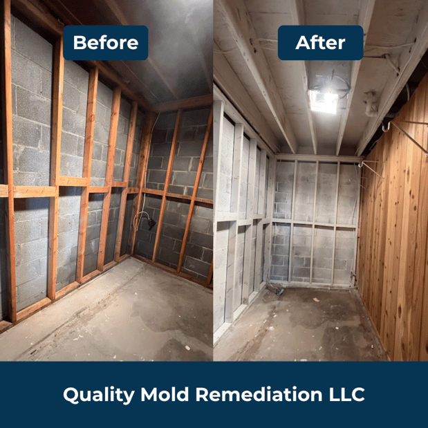 Images Quality Mold Remediation LLC