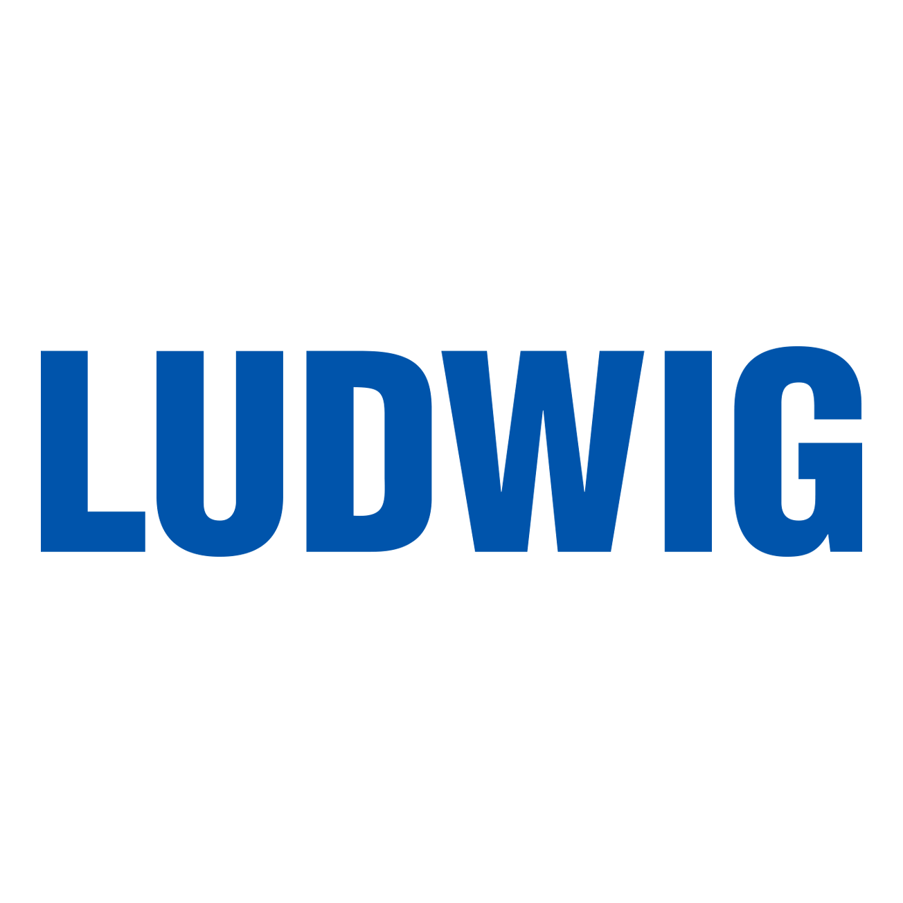 Ludwig in Saarbrücken - Logo